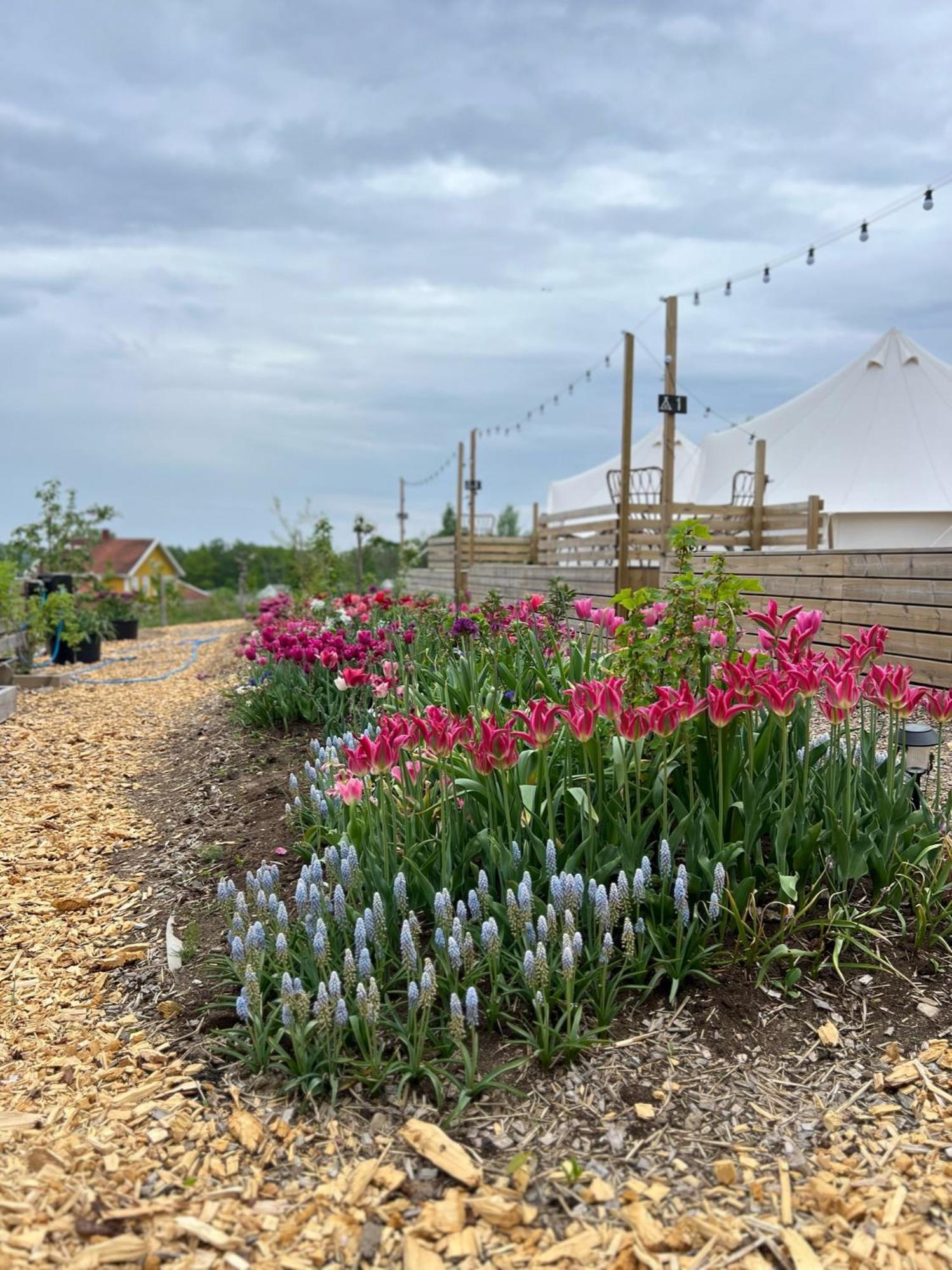 Vaettervy Glamping 호텔 Habo 외부 사진