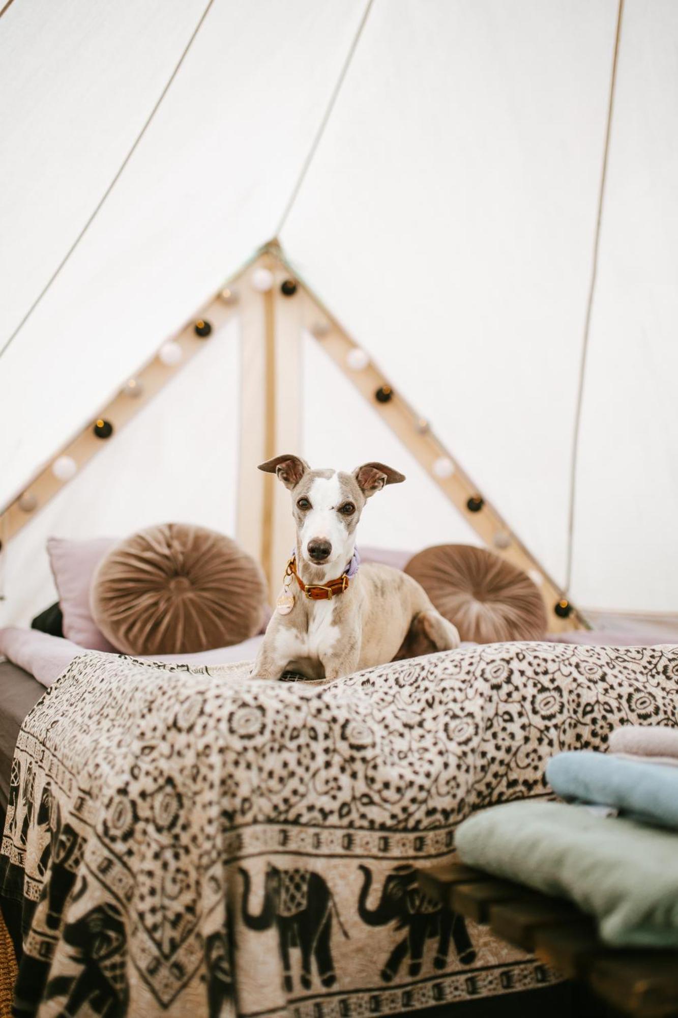 Vaettervy Glamping 호텔 Habo 외부 사진